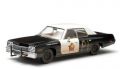 74er Dodge Monaco Bluesmobile